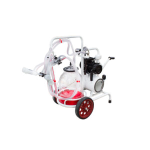 SM750 KK TGÇS double milking single stainless steel bucket milking machine with dry pump and gasoline motor for sheep