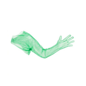 Gants d'insémination, haute qualité, vert
