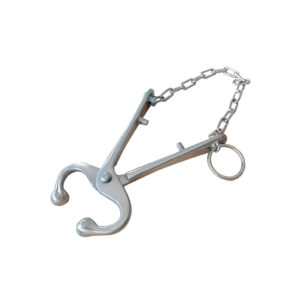 Mouchette à naseau avec chaîne, acier inoxydable